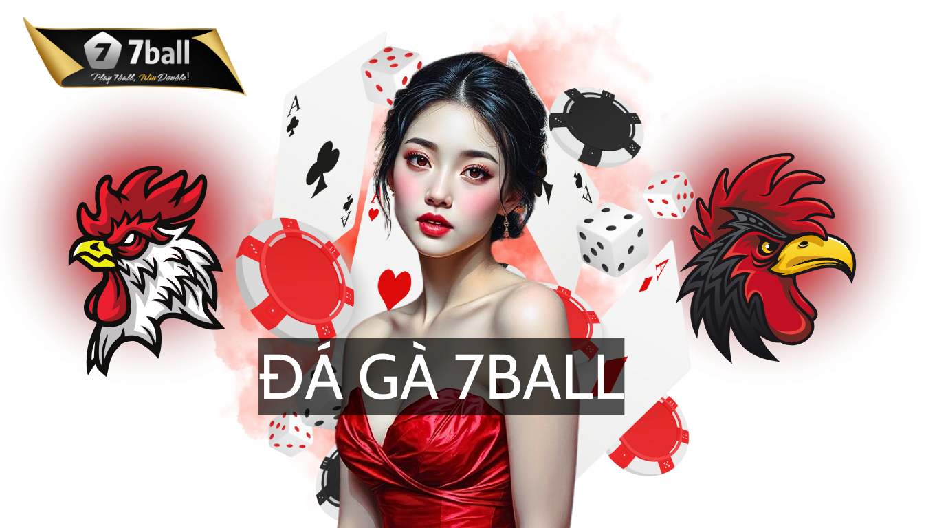 Đá Gà Tại 7Ball: Chiến Kê Ra Trận, Vang Danh Thiên Hạ